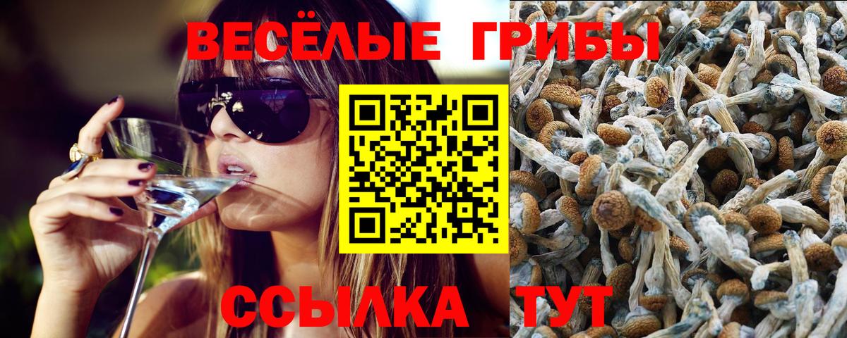 Псилоцибиновые грибы Psilocybine cubensis  наркота  Магнитогорск  Вход с VPN 